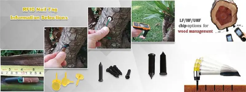 RFID tree nail tag for tree management