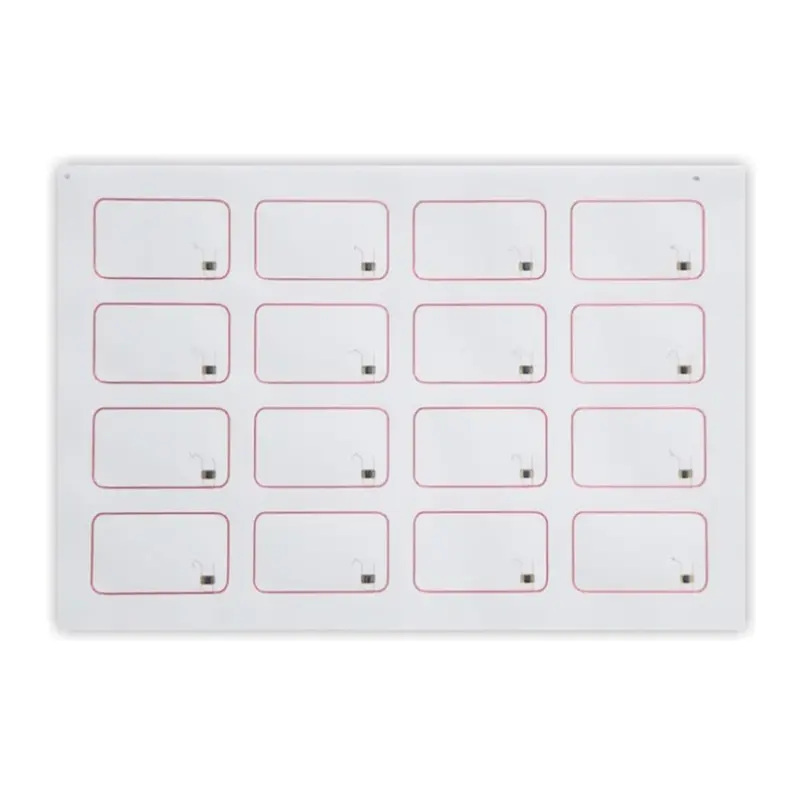 中料5