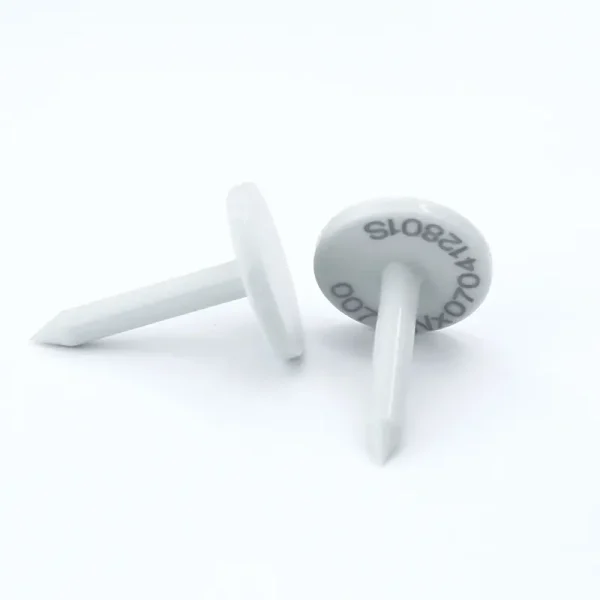 钉子标签 28mm H3 2